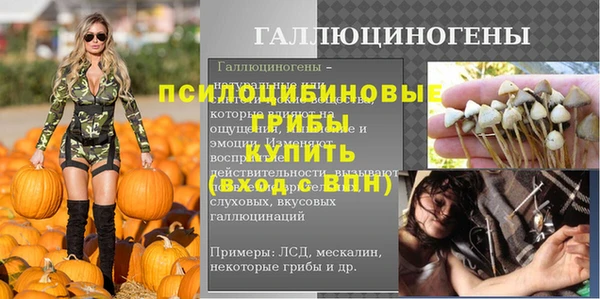 СК Ростов