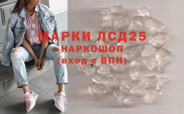 apvp Яровое