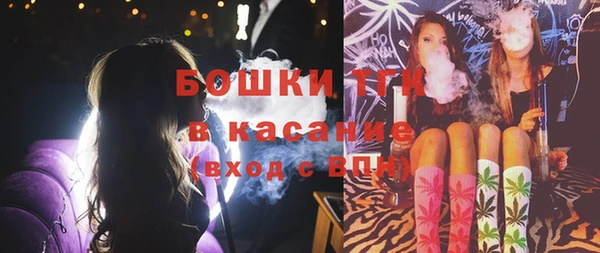 дмт Янаул
